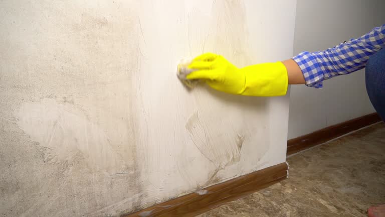 Best Residential Mold Inspection & Testing  in Terrytown, LA